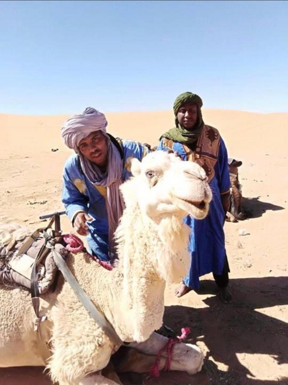 Riad Dar Susan - Authentic Stay In Zagora Eksteriør bilde